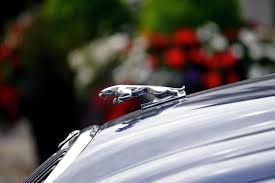 images - 2025-07-04T123211.893